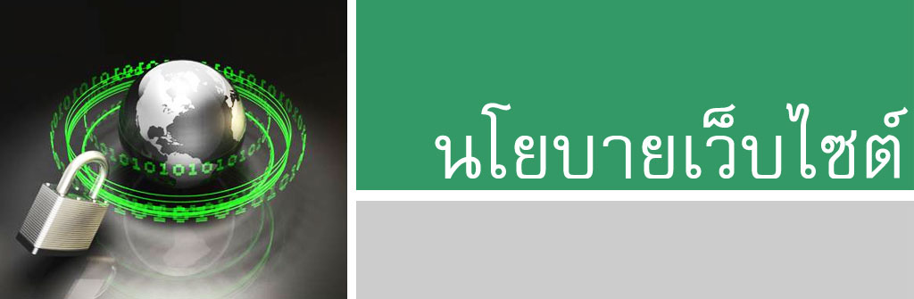 นโยบายเว็บไซต์